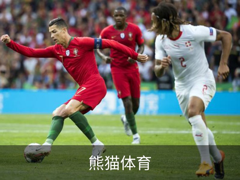 关于熊猫体育
